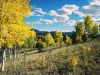 Sunny fall afternoon