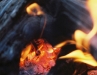 Campfire