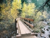 Bridge in the woods