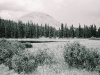 Buffalo Peaks