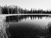 Buffalo Peaks
