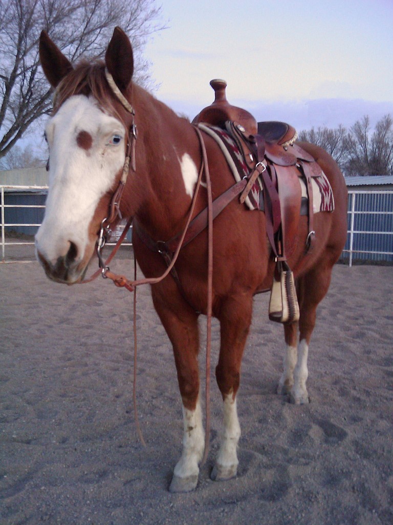 Dottie